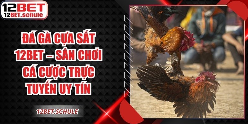 Đá Gà Cựa Sắt 12BET