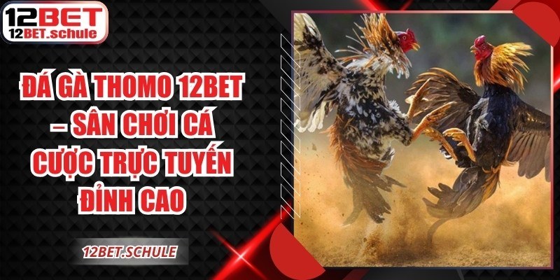Đá Gà Thomo 12BET
