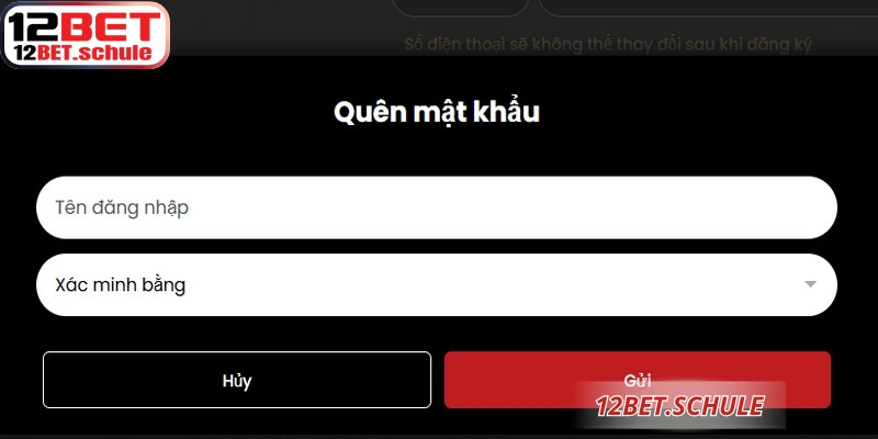 Các lỗi phát sinh hay gặp khi đăng nhập 12BET