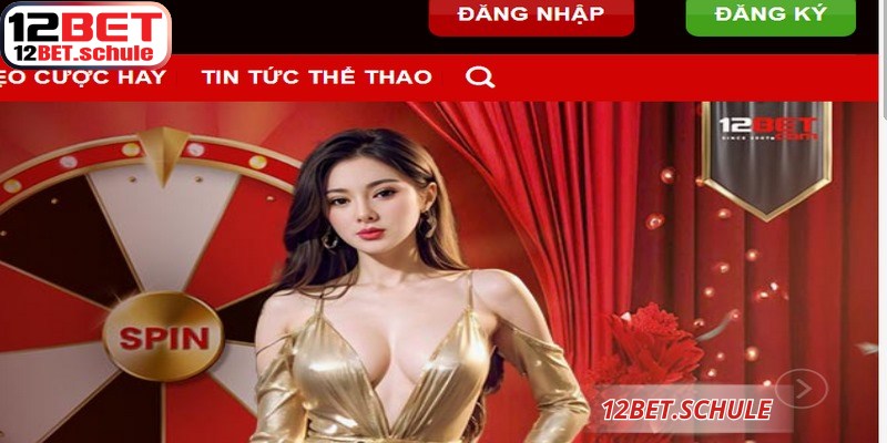 Cam kết bảo mật thông tin truy cập của hội viên khi đăng nhập thành công 12BET